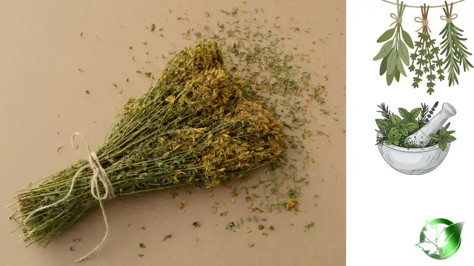 Wholesale packaging for Dried Herbs can be planned for retail distribution, commercial kitchens, customer-brand, or industrial-scale distribution.